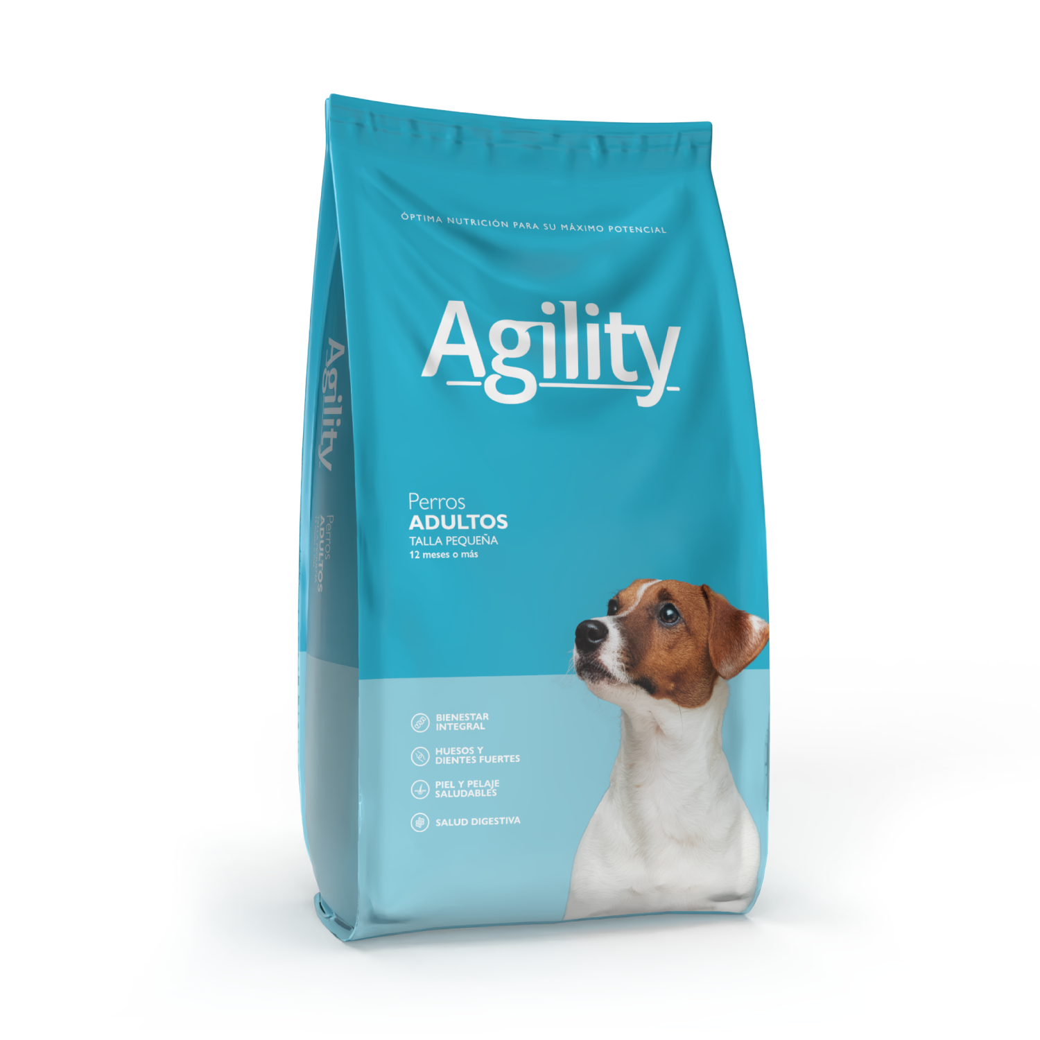 Agility Adultos Razas Pequeñas