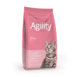 Agility Cats Kitten