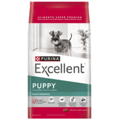 Excellent Puppy Razas Pequeñas
