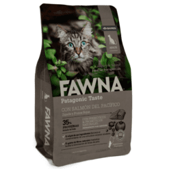 Fawna Gatos Adultos