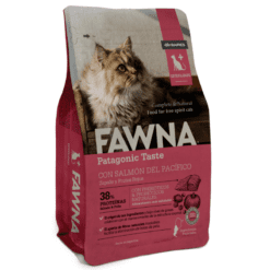 Fawna Gatos Esterilizados