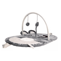 Rascals Gimnasio interactivo plegable