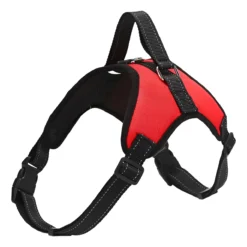 Arnes Acolchado Ajustable