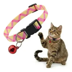 Collar Regulable con Cascabel