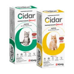 Cidar Gatos