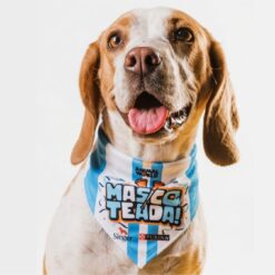 Bandana Mascoteada Animal World 2026 🐾⚽