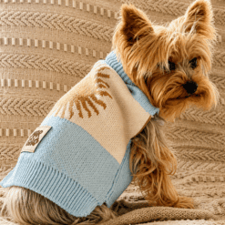 Sweater Argentina