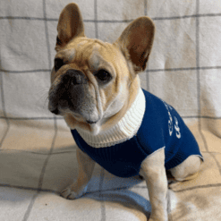Sweater Coronados de Gloria